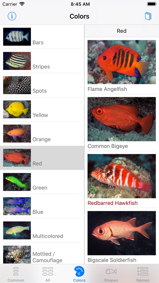 【图】Snorkel Fish Hawaii for iPhone(截图3)