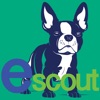 escout.me