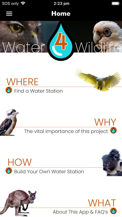 Water 4 Wildlife