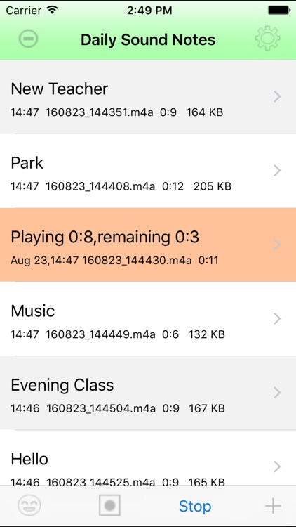 Daily Sound Notes Professional screenshot-3