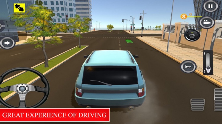 Driving Prado Around City