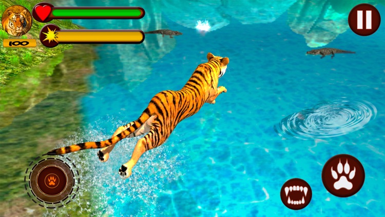 Lion Vs Tiger screenshot-3