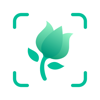 no app image
