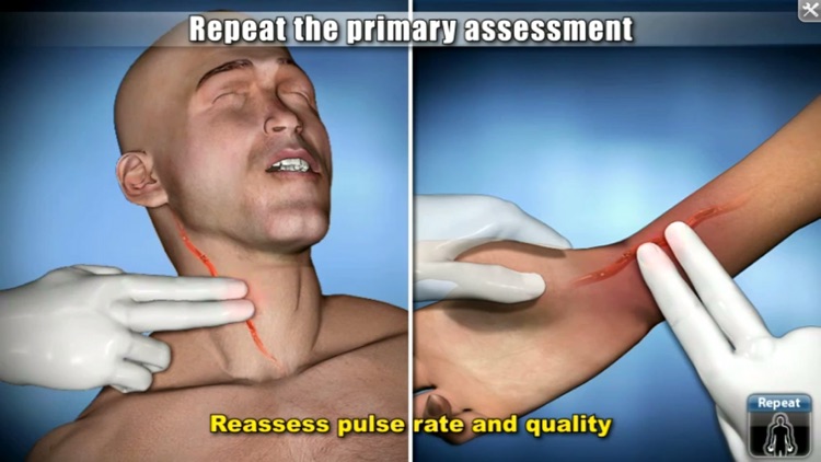 Reassessment & Decision Making