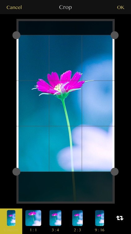 Photo Editing - PhotoZen Pro screenshot-6