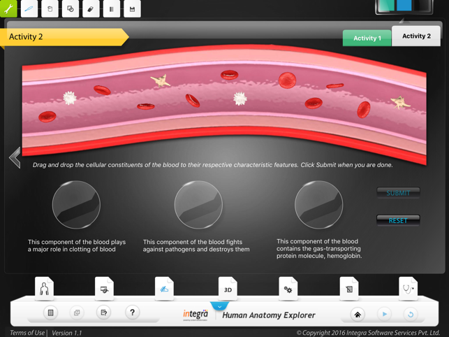 Human Anatomy - Circulatory(圖4)-速報App