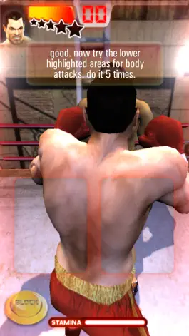 Game screenshot Iron Fist Boxing Lite mod apk