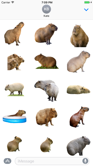 How to cancel & delete Capybara Stickers for iMessage from iphone & ipad 1