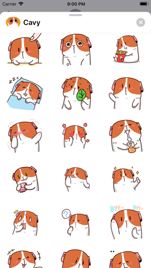 Lovely Cavy Animated Stickers(圖4)-速報App