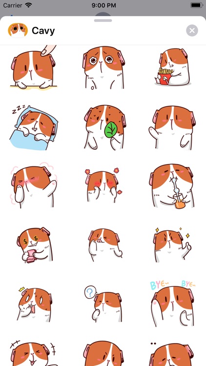 Lovely Cavy Animated Stickers screenshot-3