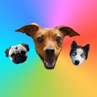 Top 33 Stickers Apps Like Dog Stickers (for iMessage) - Best Alternatives