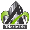 Triacle Iris