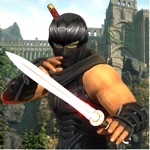 Ninja Shadow Assassin Hero