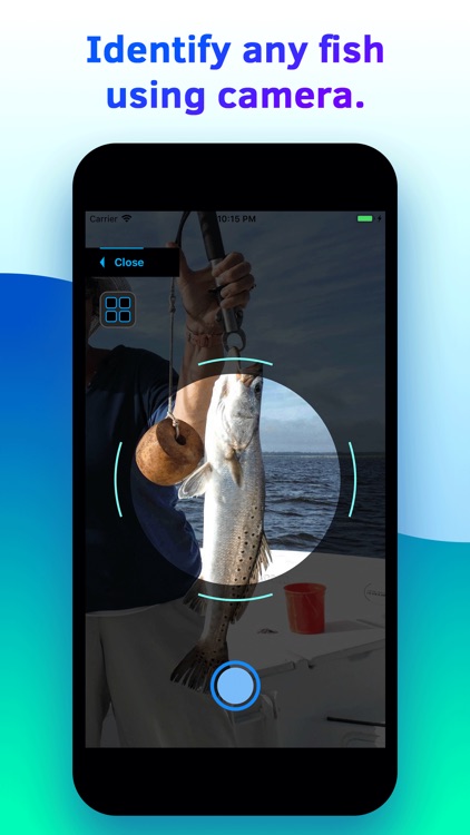 Fish Identifier