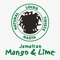 Jamaican Mango & Lime® keeps your locs, braids and twists healthy and strong with our complete system of shampoos, oils, waxes and gel