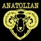 Anatolian Restaurant Abergavenny is ready to take your orders