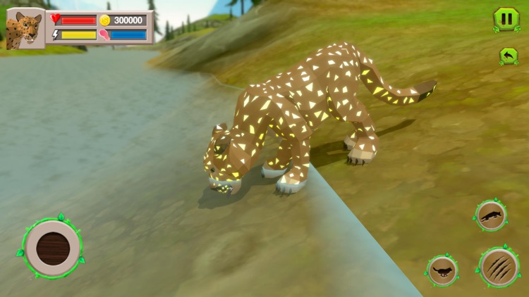 Wild Leopard Safari - Online screenshot-5