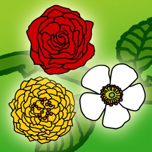 3 rose puzzle