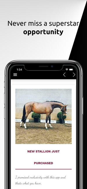 Vecthom Sporthorses(圖2)-速報App