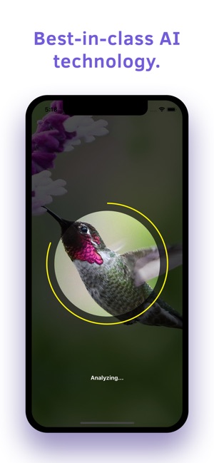 Bird Identification(圖4)-速報App