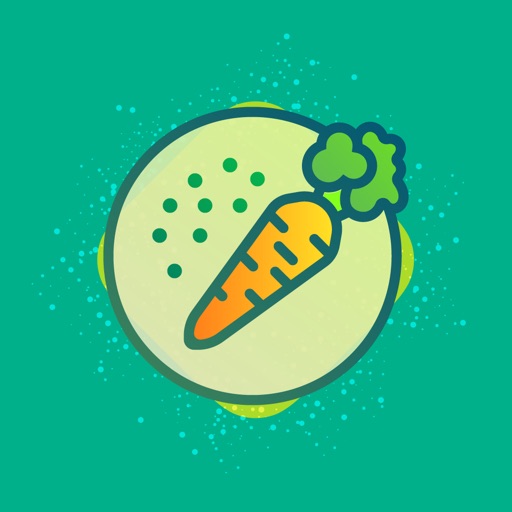 Healthful Food Recipes