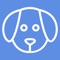 Identify a dog's breed using your camera