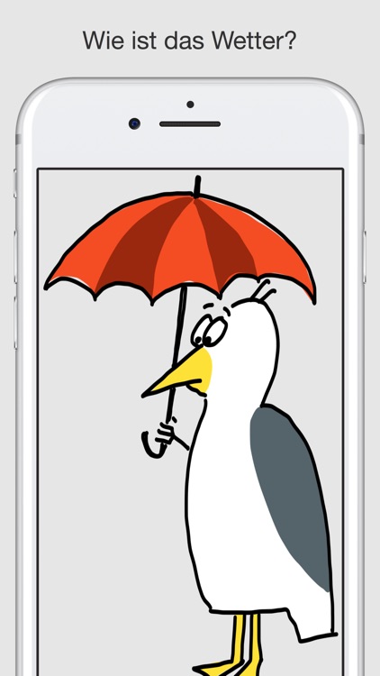 Steinmöwen Sticker