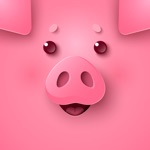 Pig is Big  wear Wig stickers