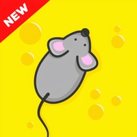 Cat Games - Games For Cats
