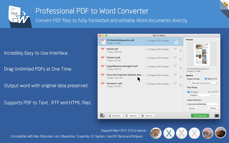 PDF to Word Pro 飞蜂PDF转Word转换器