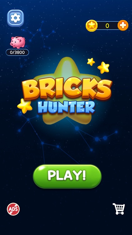 Bricks Hunter screenshot-7