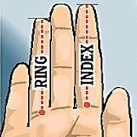 DigitPalmistry: Length Matters