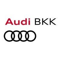  Audi BKK Service-App Alternative
