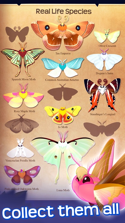 Flutter: Starlight screenshot-0