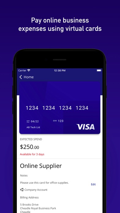 Скриншот №2 к Visa Commercial Pay