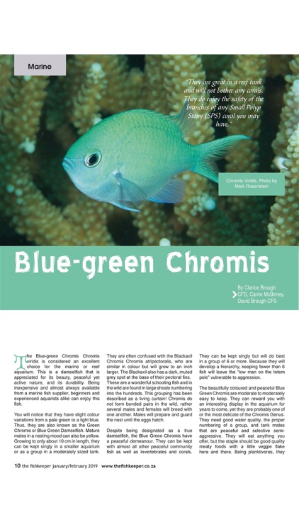 The Fishkeeper Magazine
