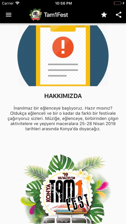 Tam1Fest screenshot-3