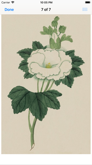 Floral Vintage Watercolors(圖4)-速報App