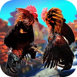 街鸡对战：斗鸡PK模拟器游戏