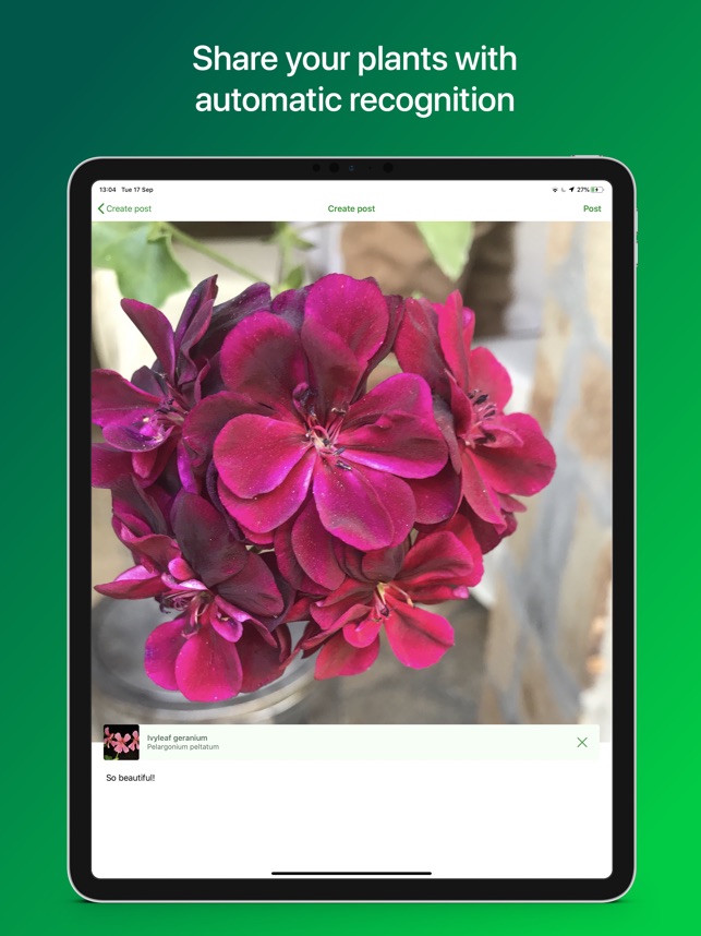 PlantSnap Pro: Identify Plants