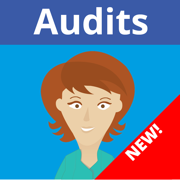 MEG Audit Tool v3.0