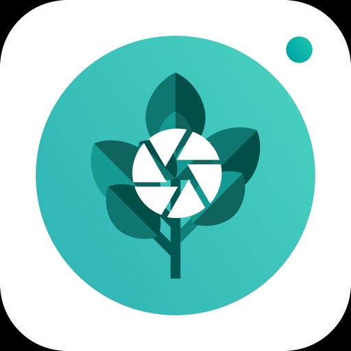 PlantFinder - Quick identifier icon