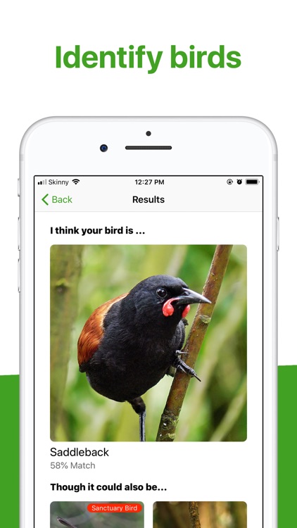 Bird Nerd NZ screenshot-3