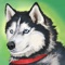 If you do not have a real dog in the house but you do want to get a pet to take care of it, if you like games with animals even if they are virtual then our application “Dog Simulator” is a great option for your leisure time