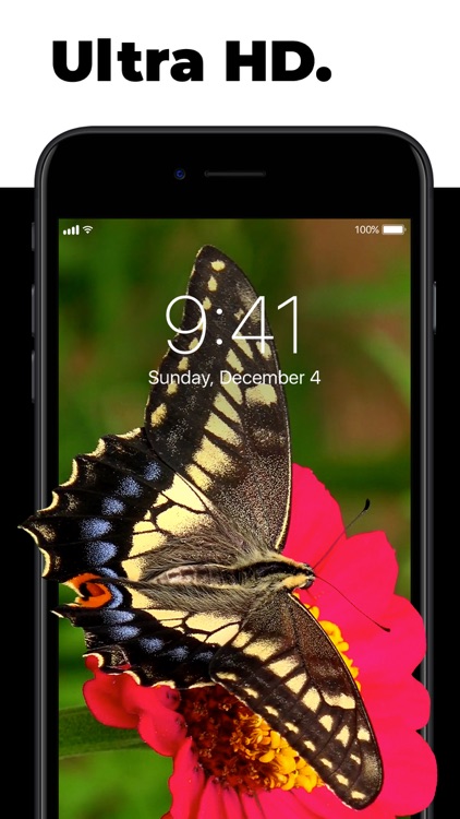 Live Wallpapers for Me
