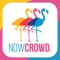 NowCrowd