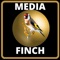 Media Finch is the first app based solution for real estate which allows real estate professionals to replace traditional lawn signs with digital signs that can display images in front of properties in real time to attract visitors