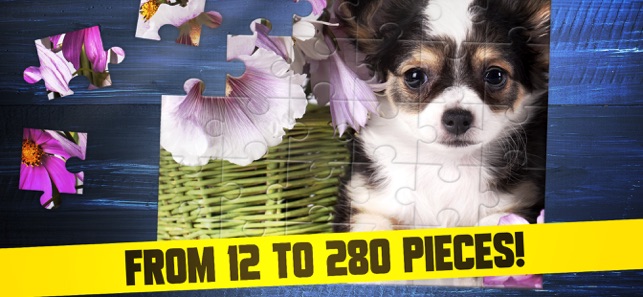 Cute Dogs Puppy Jigsaw Puzzle(圖4)-速報App