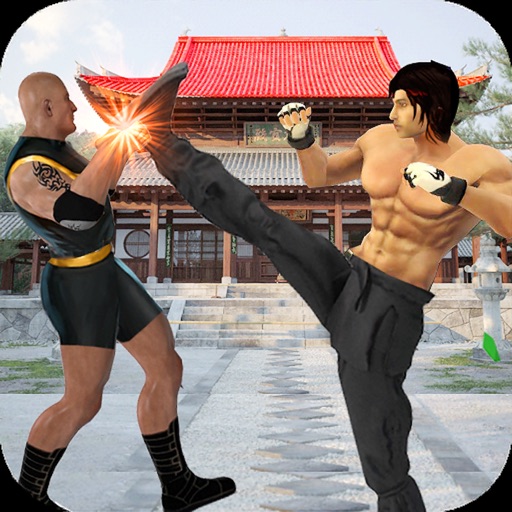 Real Superheroes Kung fu fight