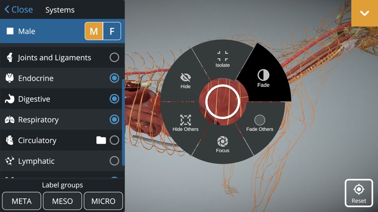 EasyAnatomy: 3D Canine Anatomy screenshot-5